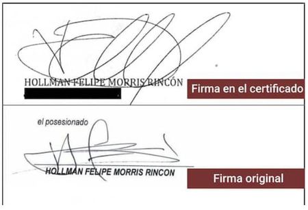 Firma Hollman Morris
